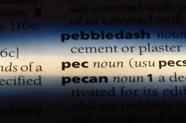 PEC Word'de bir sözlük. PEC kavramı.