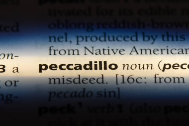 polemik Word'de bir sözlük. polemik kavramı.