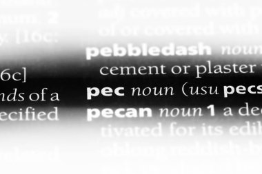 PEC Word'de bir sözlük. PEC kavramı.