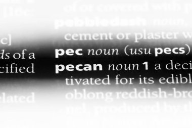 Cevizli Word'de bir sözlük. Cevizli kavramı.