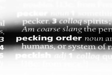 bir sözlüğü'ndeki gagalamak düzen sözcüğü. gagalamak düzen kavramı.