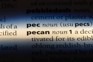 Cevizli Word'de bir sözlük. Cevizli kavramı.