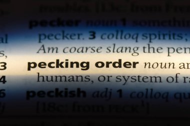 bir sözlüğü'ndeki gagalamak düzen sözcüğü. gagalamak düzen kavramı.