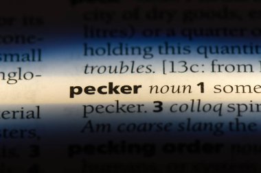 ağaçkakan Word'de bir sözlük. ağaçkakan kavramı.