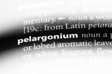 Itır Word'de bir sözlük. Itır kavramı.