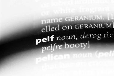 pelf sözcük sözlüğe. pelf kavramı.
