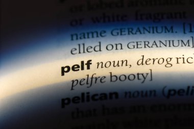pelf sözcük sözlüğe. pelf kavramı.