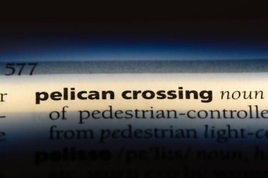 Pelikan geçiş kelime sözlüğe. Pelikan geçiş kavramı.