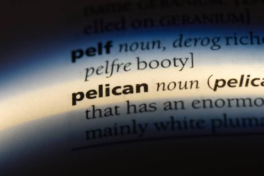 Pelikan Word'de bir sözlük. Pelikan kavramı.