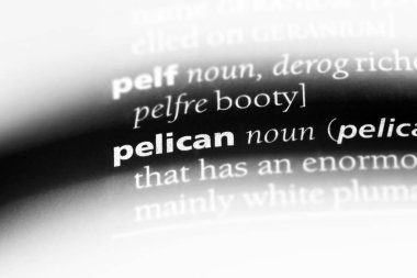 Pelikan Word'de bir sözlük. Pelikan kavramı.