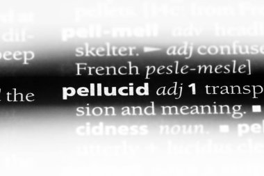 para tek kelimeyle bir sözlük. para kavramı.