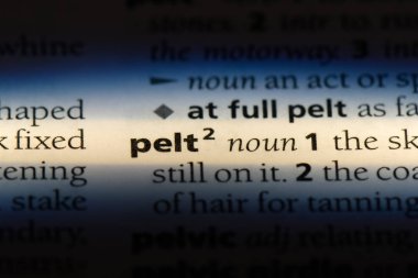 bir sözlüğü'ndeki sözcüğü postu. Pelt kavramı.