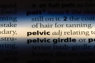 pelvik tek kelimeyle bir sözlük. pelvik kavramı.