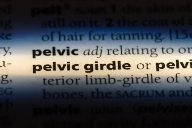 pelvik gridle Word'de bir sözlük. pelvik gridle kavramı.