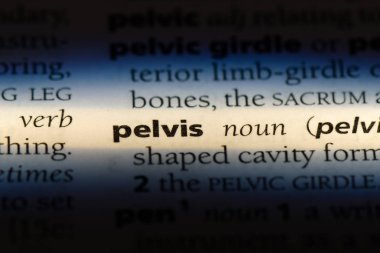 Leğen kemiği Word'de bir sözlük. Leğen kemiği kavramı.