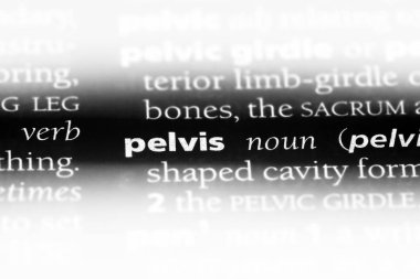 Leğen kemiği Word'de bir sözlük. Leğen kemiği kavramı.