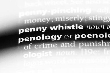 bir sözlüğü'ndeki penoloji sözcüğü. penoloji kavramı.