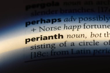 Brahte Word'de bir sözlük. Brahte kavramı.