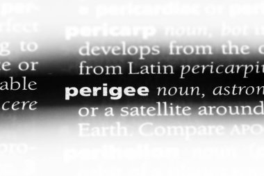 yerberi Word'de bir sözlük. yerberi kavramı.