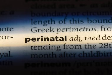 Perinatal tek kelimeyle bir sözlük. Perinatal kavramı.