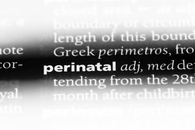 Perinatal tek kelimeyle bir sözlük. Perinatal kavramı.