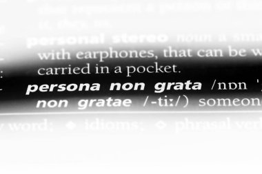 persona non istenmeyen sözcük sözlüğe. persona non istenmeyen kavramı.