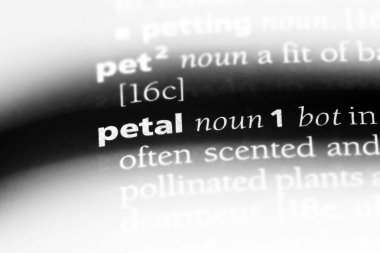 Petal Word'de bir sözlük. Petal kavramı.