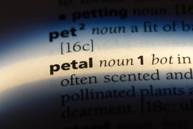 Petal Word'de bir sözlük. Petal kavramı.