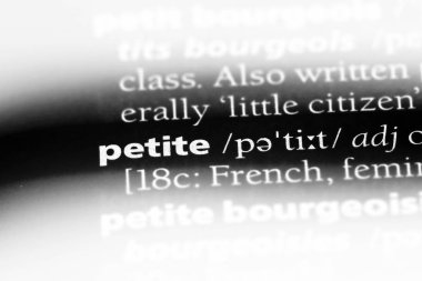 Petite tek kelimeyle bir sözlük. Petite kavramı.