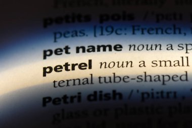 kuşu Word'de bir sözlük. kuşu kavramı.