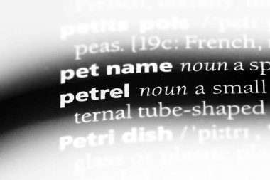 kuşu Word'de bir sözlük. kuşu kavramı.