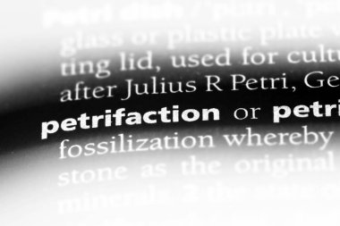 petrifaction sözcük sözlüğe. petrifaction kavramı.