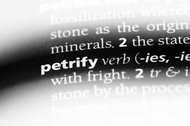 bir sözlüğü'ndeki sözcüğü taş. kavram taş.