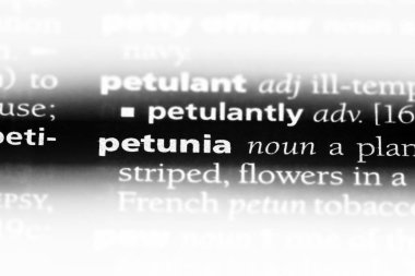 Petunya tek kelimeyle bir sözlük. Petunya kavramı.
