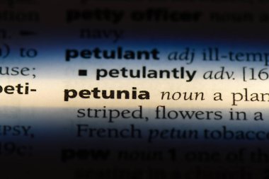 Petunya tek kelimeyle bir sözlük. Petunya kavramı.