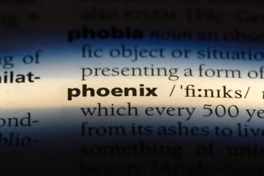 Phoenix Word'de bir sözlük. Phoenix kavramı.