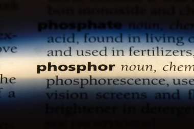 fosfor Word'de bir sözlük. fosfor kavramı.