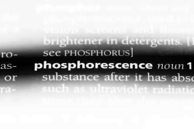 yakamoz Word'de bir sözlük. yakamoz kavramı.