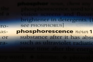 yakamoz Word'de bir sözlük. yakamoz kavramı.