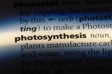 fotosentez Word'de bir sözlük. fotosentez kavramı.