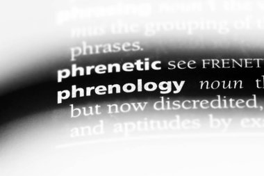 kafatası Word'de bir sözlük. kafatası kavramı.