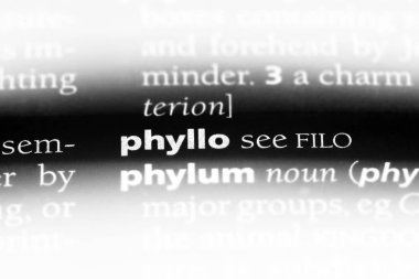 bir sözlüğü'ndeki phyllo sözcüğü. phyllo kavramı.