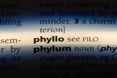 bir sözlüğü'ndeki phyllo sözcüğü. phyllo kavramı.