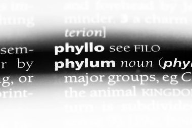 Şube Word'de bir sözlük. Şube konsepti.