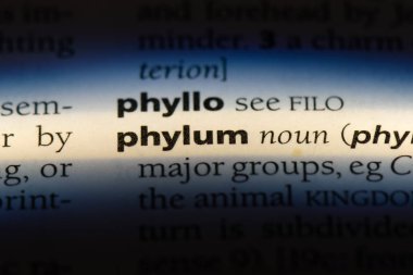 Şube Word'de bir sözlük. Şube konsepti.