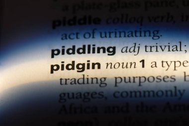 Pidgin Word'de bir sözlük. Pidgin kavramı.