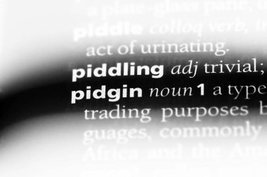 Pidgin Word'de bir sözlük. Pidgin kavramı.