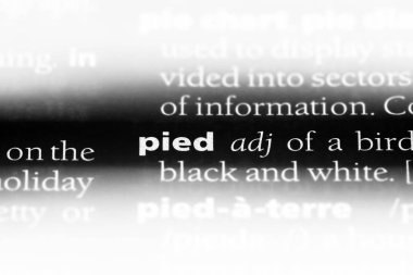 alaca tek kelimeyle bir sözlük. alaca kavramı.