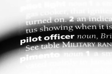 pilot subay Word'de bir sözlük. Pilot memur kavramı.