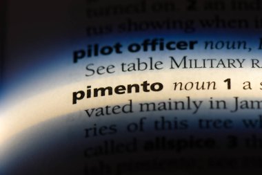 yenibahar Word'de bir sözlük. yenibahar kavramı.